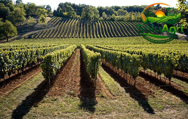 soluagri interne 1 (1)