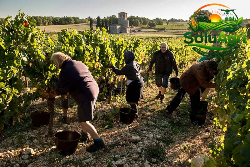 soluagri interne 1 (8)
