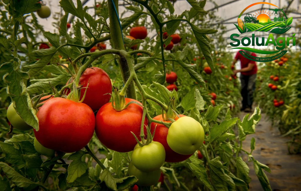 soluagri stockinterne (1)