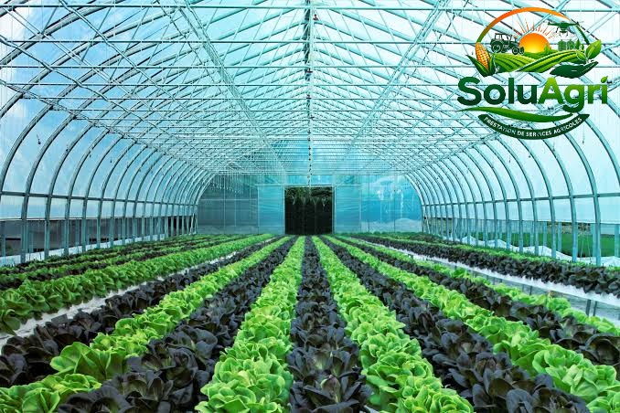soluagri stockinterne (4)